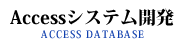 Accessシステム開発