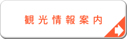 観光情報案内システム